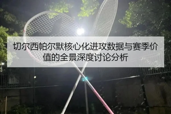 切尔西帕尔默核心化进攻数据与赛季价值的全景深度讨论分析