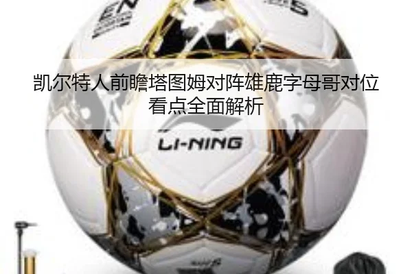 凯尔特人前瞻塔图姆对阵雄鹿字母哥对位看点全面解析