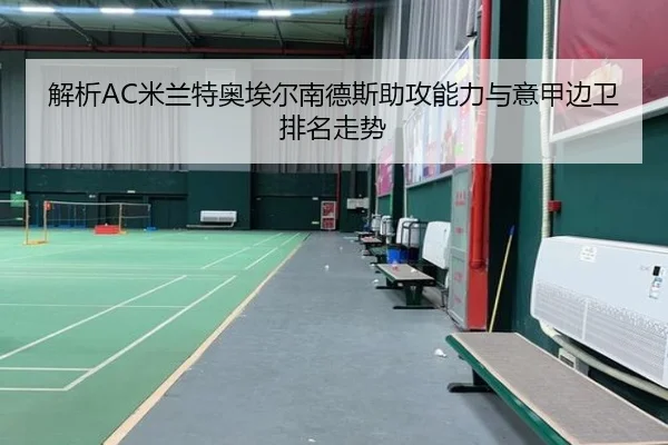 解析AC米兰特奥埃尔南德斯助攻能力与意甲边卫排名走势