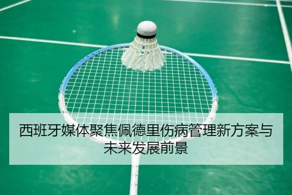 西班牙媒体聚焦佩德里伤病管理新方案与未来发展前景